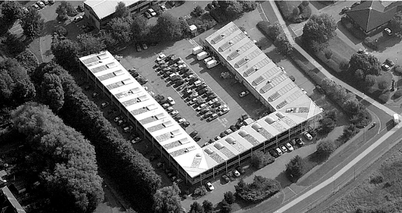 Стволови клетки - революцията на 21-ви век в световната медицина